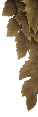 Right leaf image